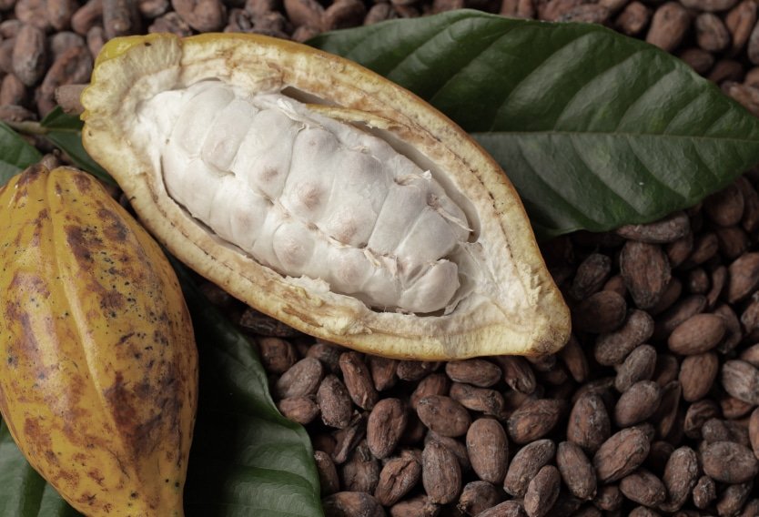 Cacao Seed Butter