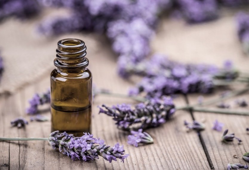 Lavender Flower Oil